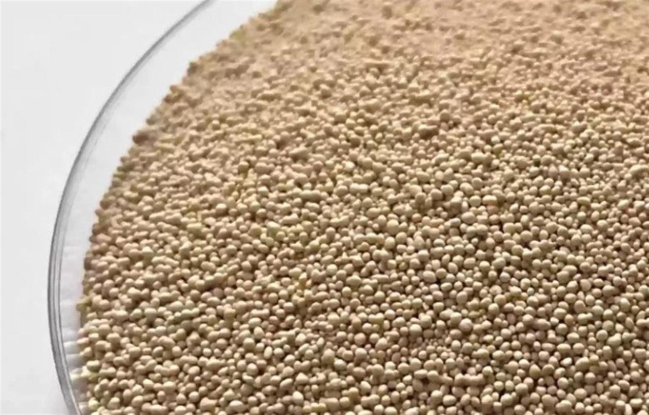 Enzyme trong bột giặt: giặt lạnh, sạch hơn, ít tốn điện hơn