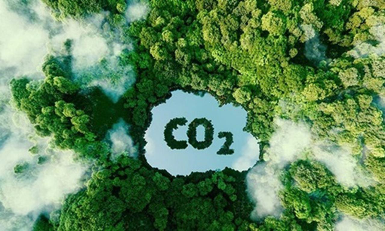 VN to pilot carbon trading market nationwide, no int’l sales until 2029