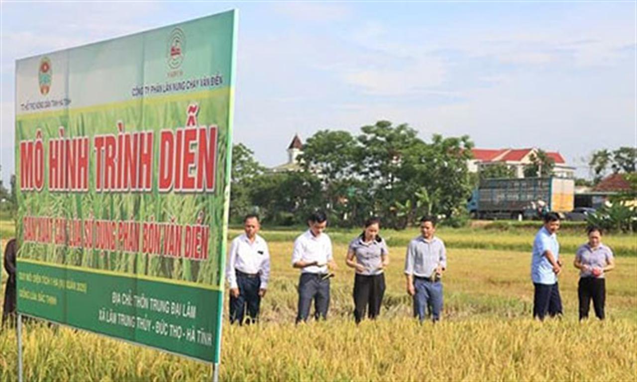 Nhân rộng mô hình bón phân đa yếu tố NPK Văn Điển cho lúa vụ mùa