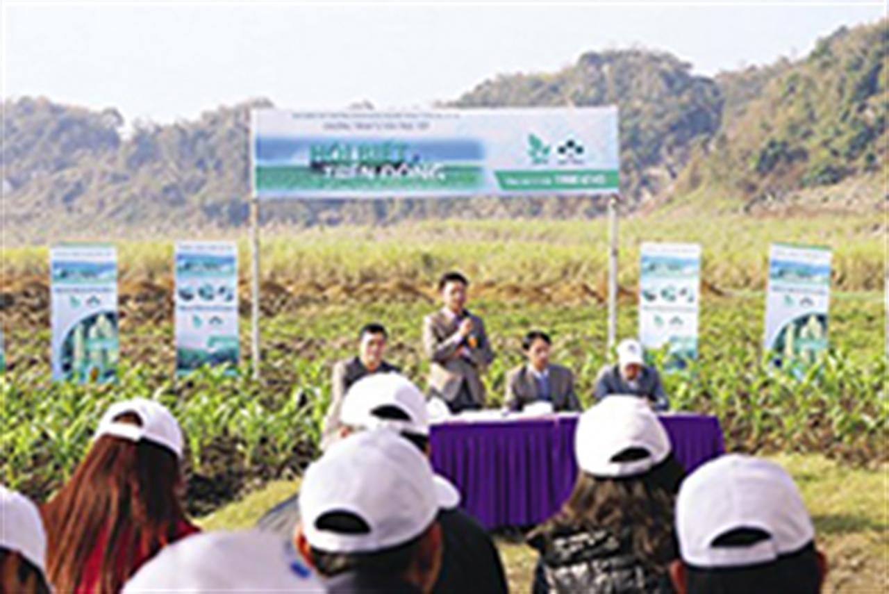 Công ty CP Supe phốt phát và Hóa chất Lâm Thao: Chủ động cung ứng phân bón cho nông dân trước thời vụ