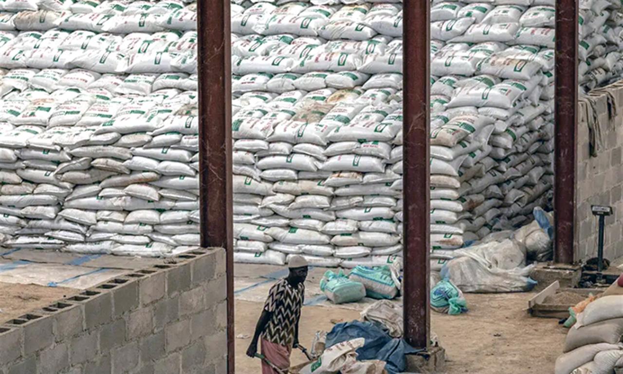 Thiếu phân bón có thể dẫn đến tình trạng mất an ninh lương thực