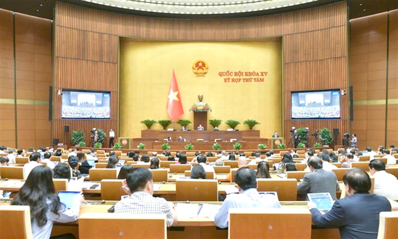 Sẽ lấy phiếu xin ý kiến đại biểu Quốc hội về áp thuế VAT 5% với phân bón