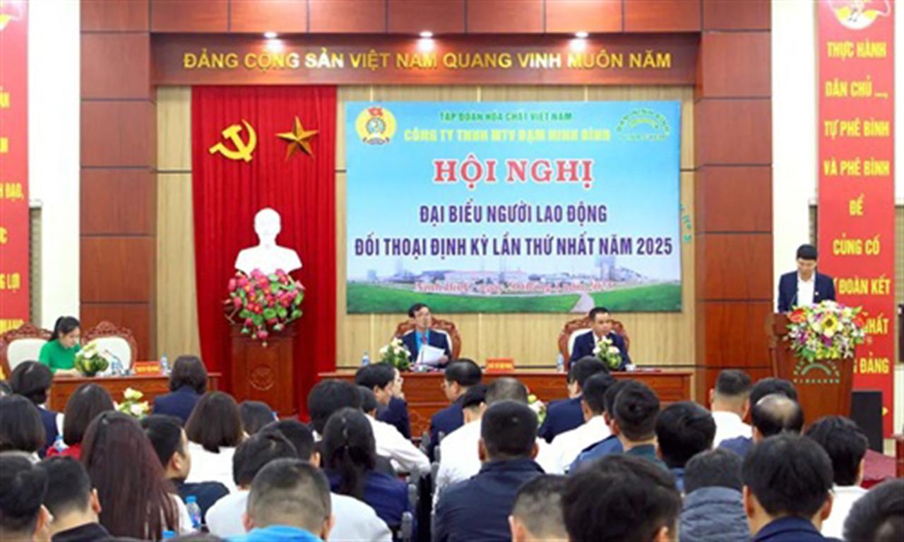 Ninh Bình Nitrogenous Fertilizer and Chemical Limited Company targets total projected revenue of 4,802 billion VND in 2025