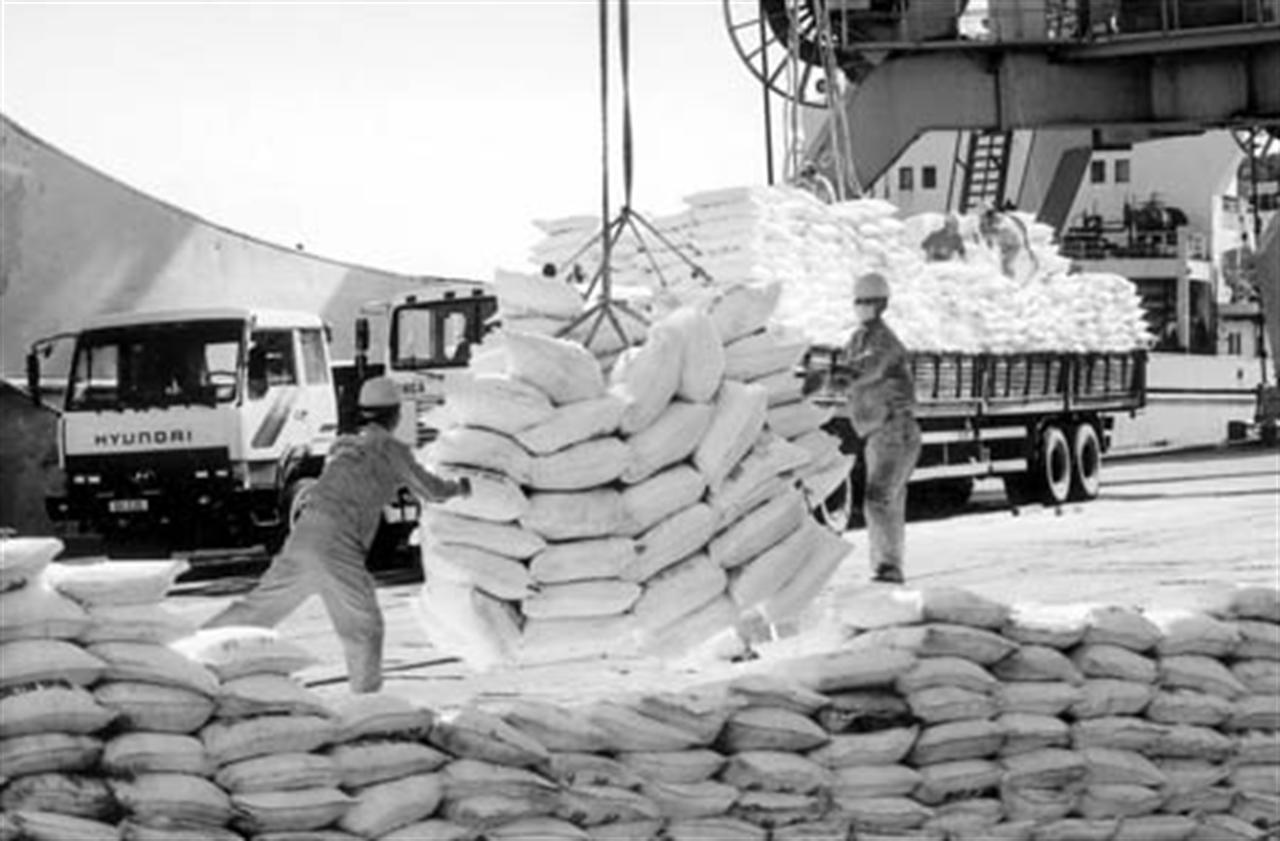 Nhập khẩu phân bón 7 tháng đầu năm tăng cả về lượng và trị giá