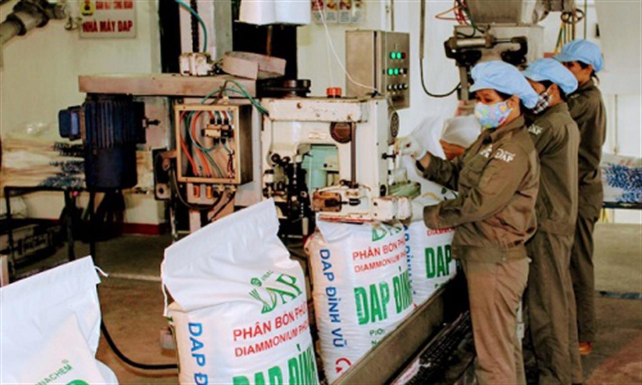 Vietnamese economy regains growth momentum