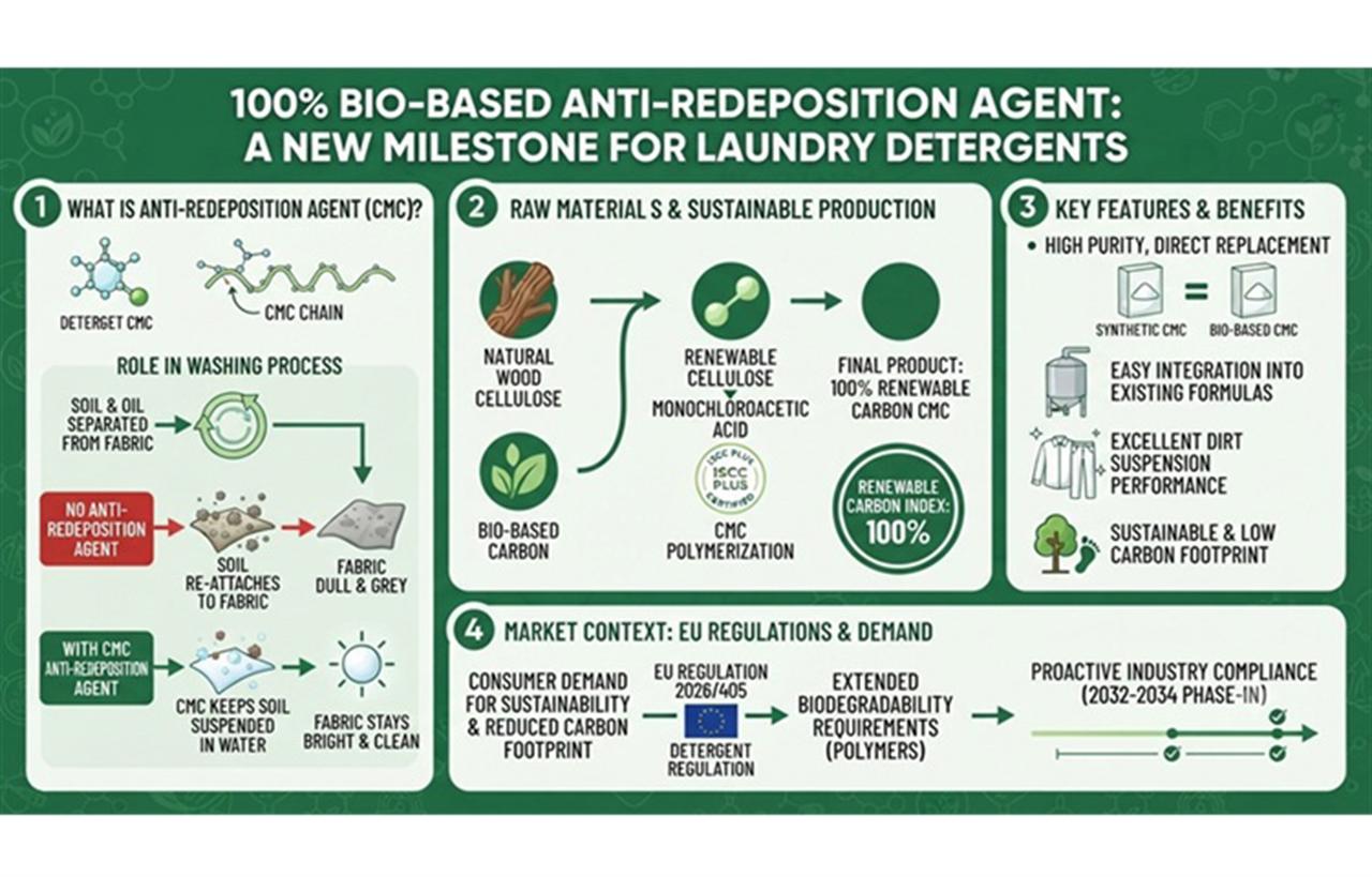 100% Biobased Anti-Redeposition Agent: A New Step Forward for Powder Detergents