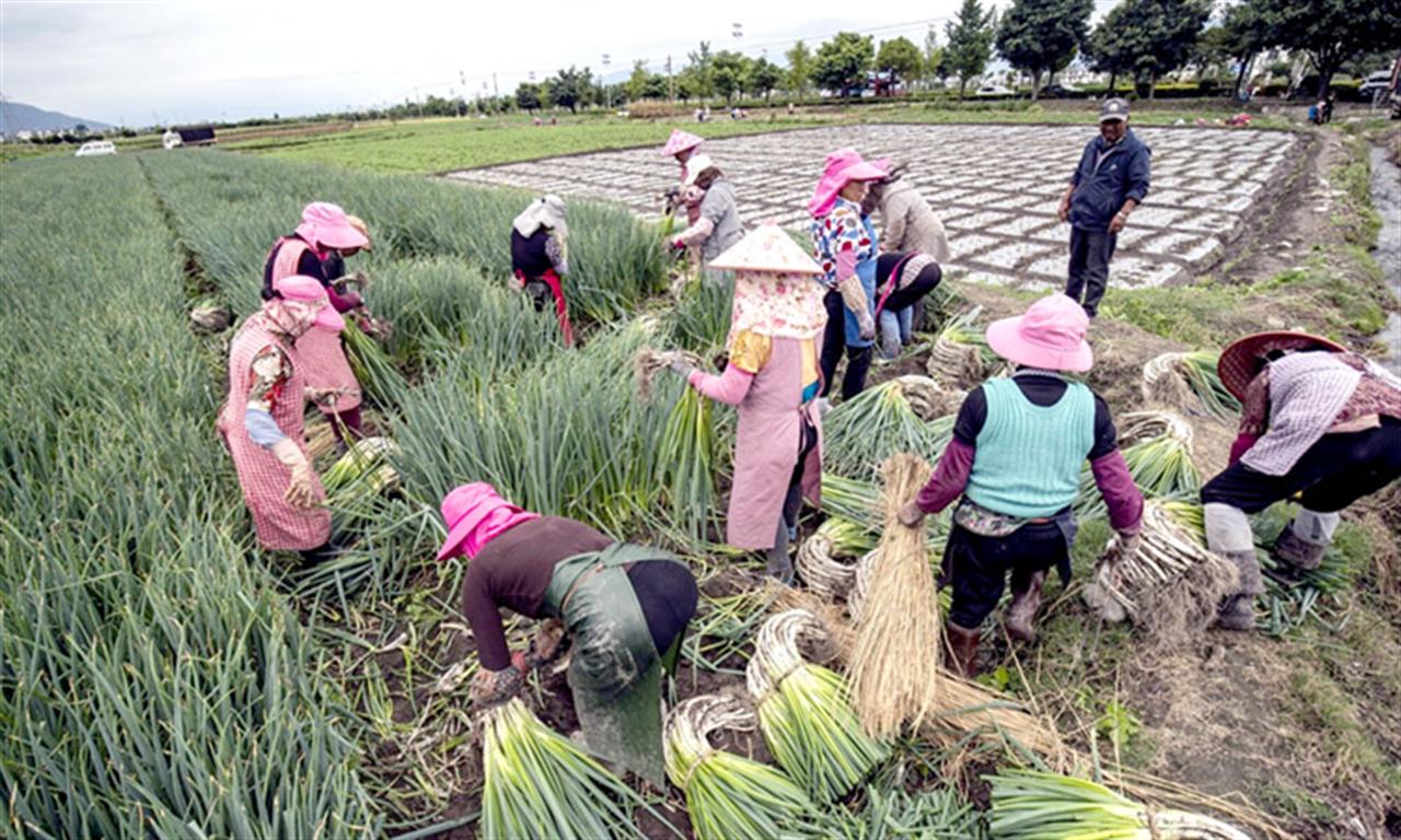 Trung Quốc áp đặt thêm biện pháp kiểm soát xuất khẩu phân bón