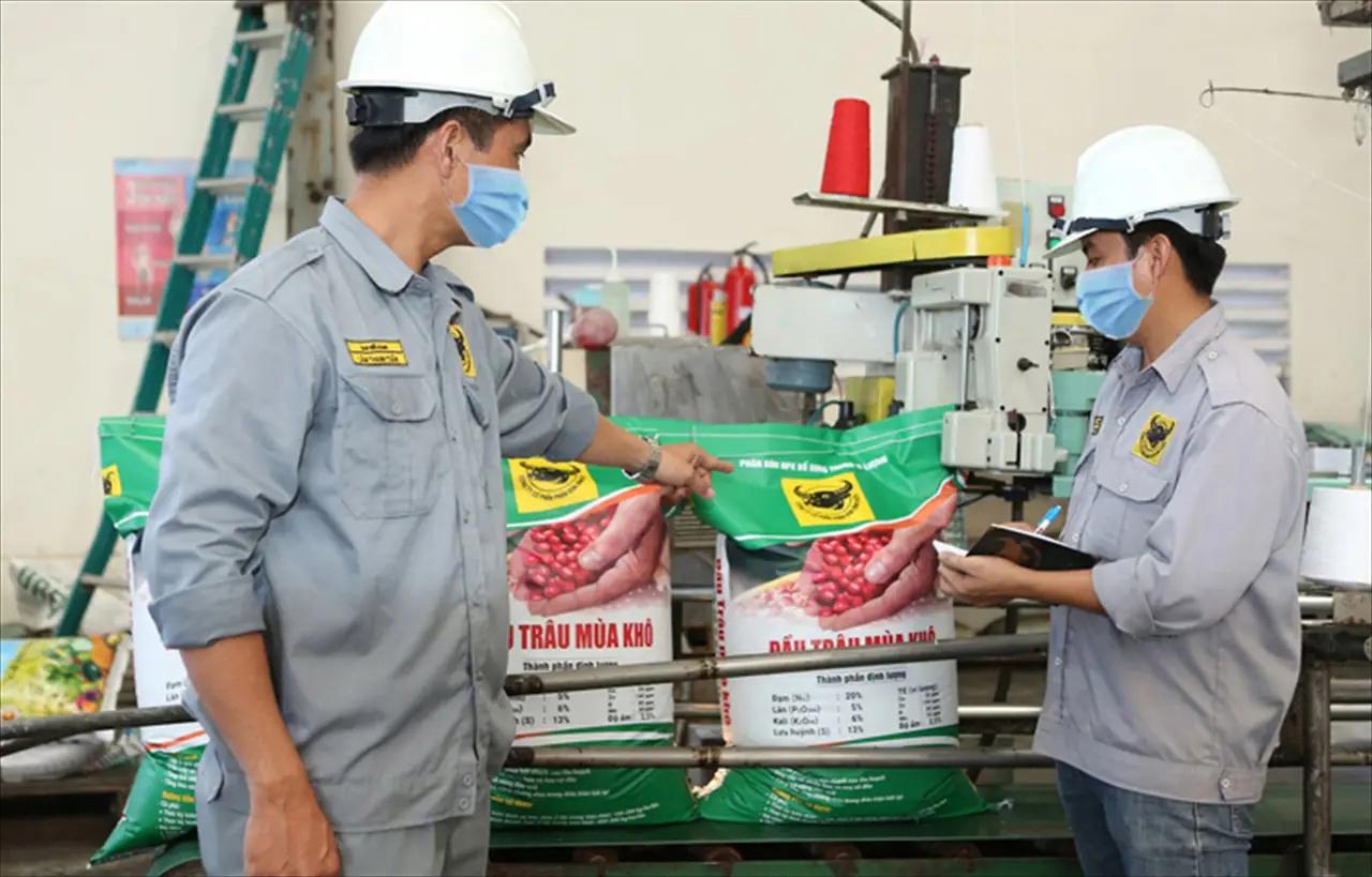 “Dau Trau” Brand on the Rise: Building Export Markets Through Quality and Trust