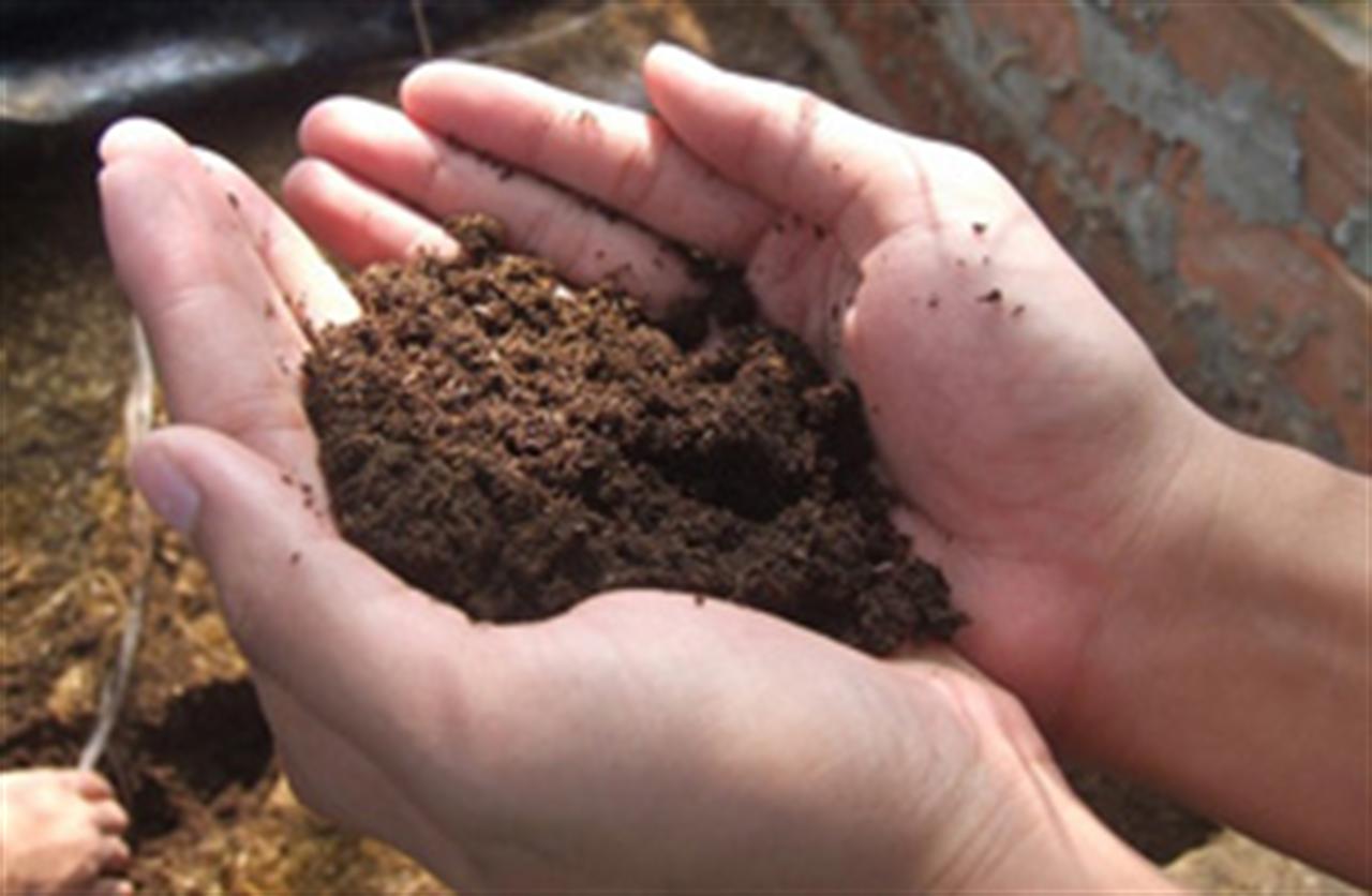 Ngành phân bón thận trọng tìm lối ra