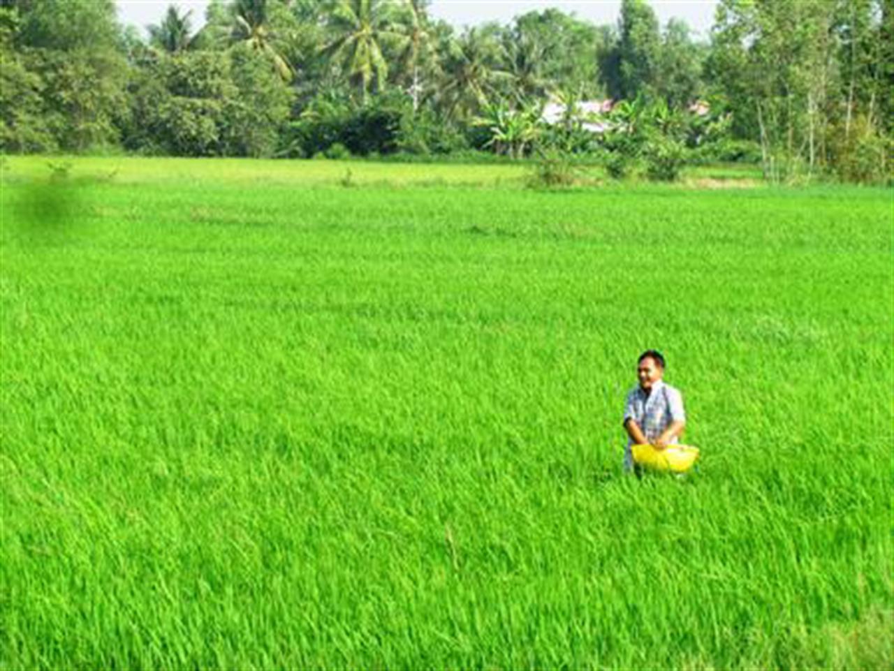 Mạnh tay “trảm” phân bón kém chất lượng