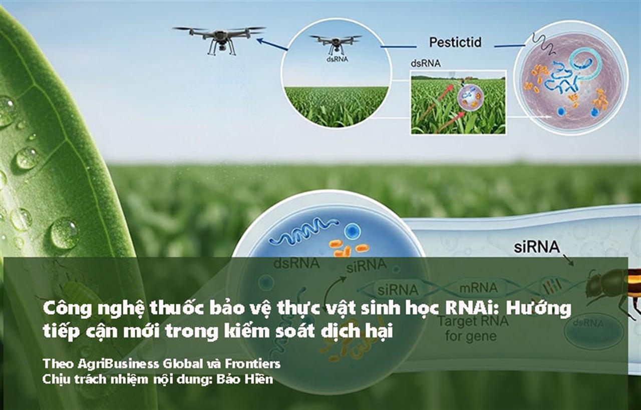 Công nghệ thuốc bảo vệ thực vật sinh học RNAi: Hướng tiếp cận mới trong kiểm soát dịch hại