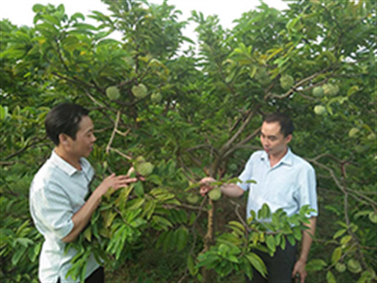 Nông dân bội thu từ mô hình điểm, lại biết cách chọn phân bón tốt
