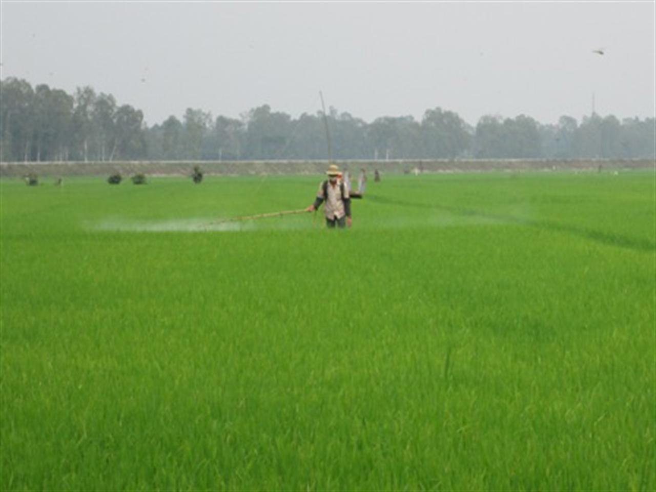 Thị trường phân bón vụ đông xuân 2013-2014: Giá giảm mạnh nhờ nguồn cung dồi dào