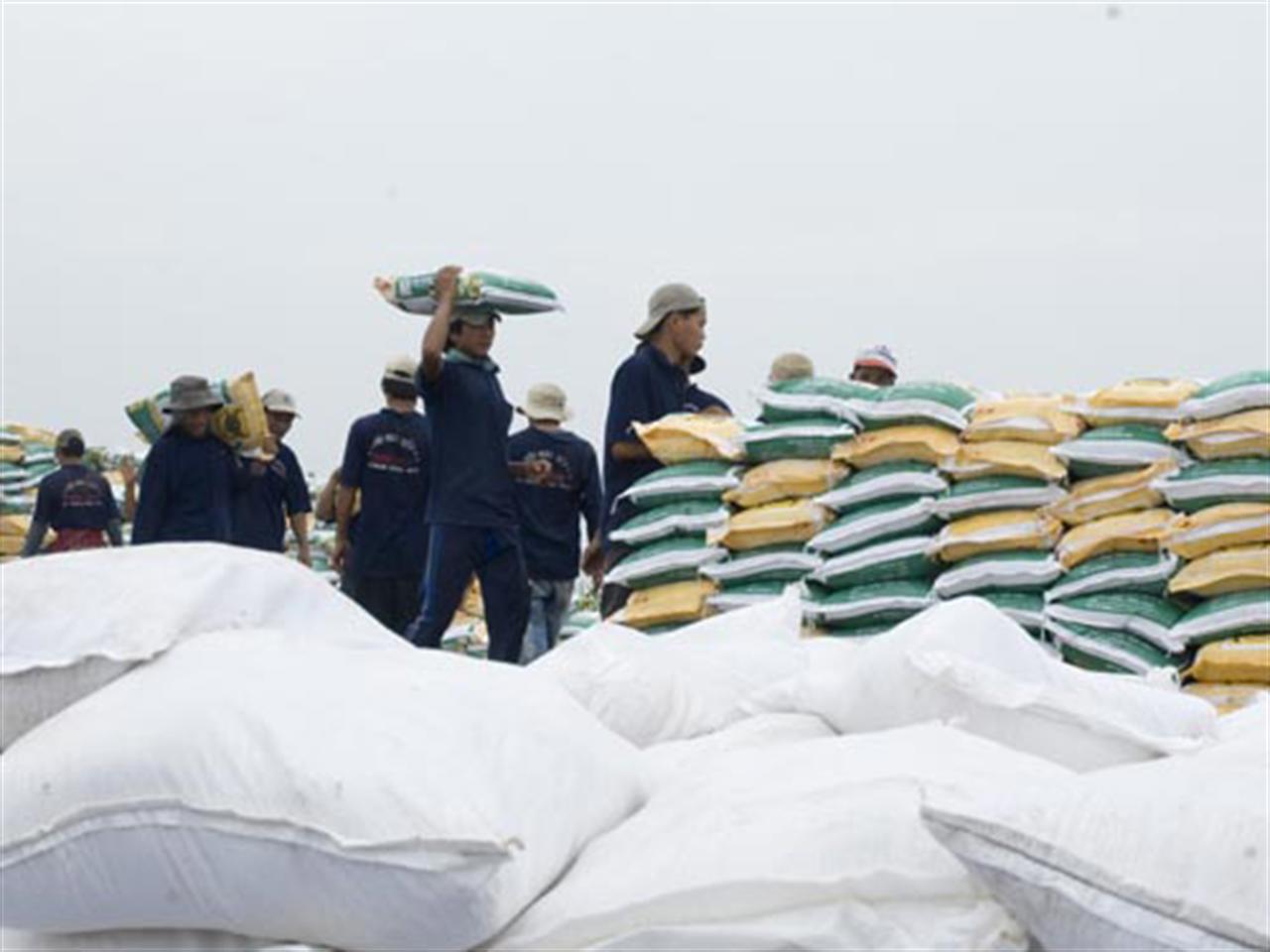 Thị trường phân bón Quốc tế đến ngày 14/2/2014