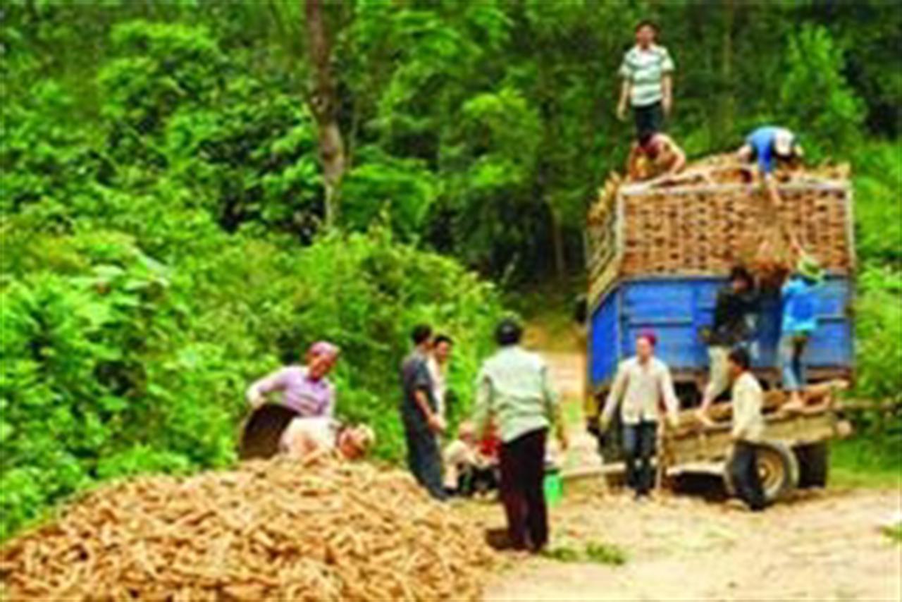 Bio-fertilizer Project Turns Waste into Wealth