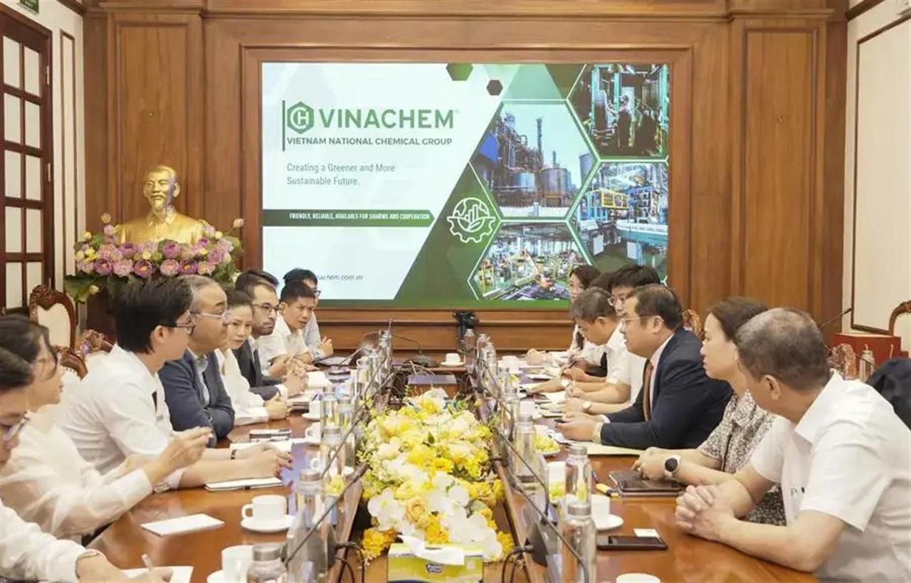 Vietnam National Chemical Group Works with Egyptian Partner on Cooperation Opportunities for Apatite Ore Supply