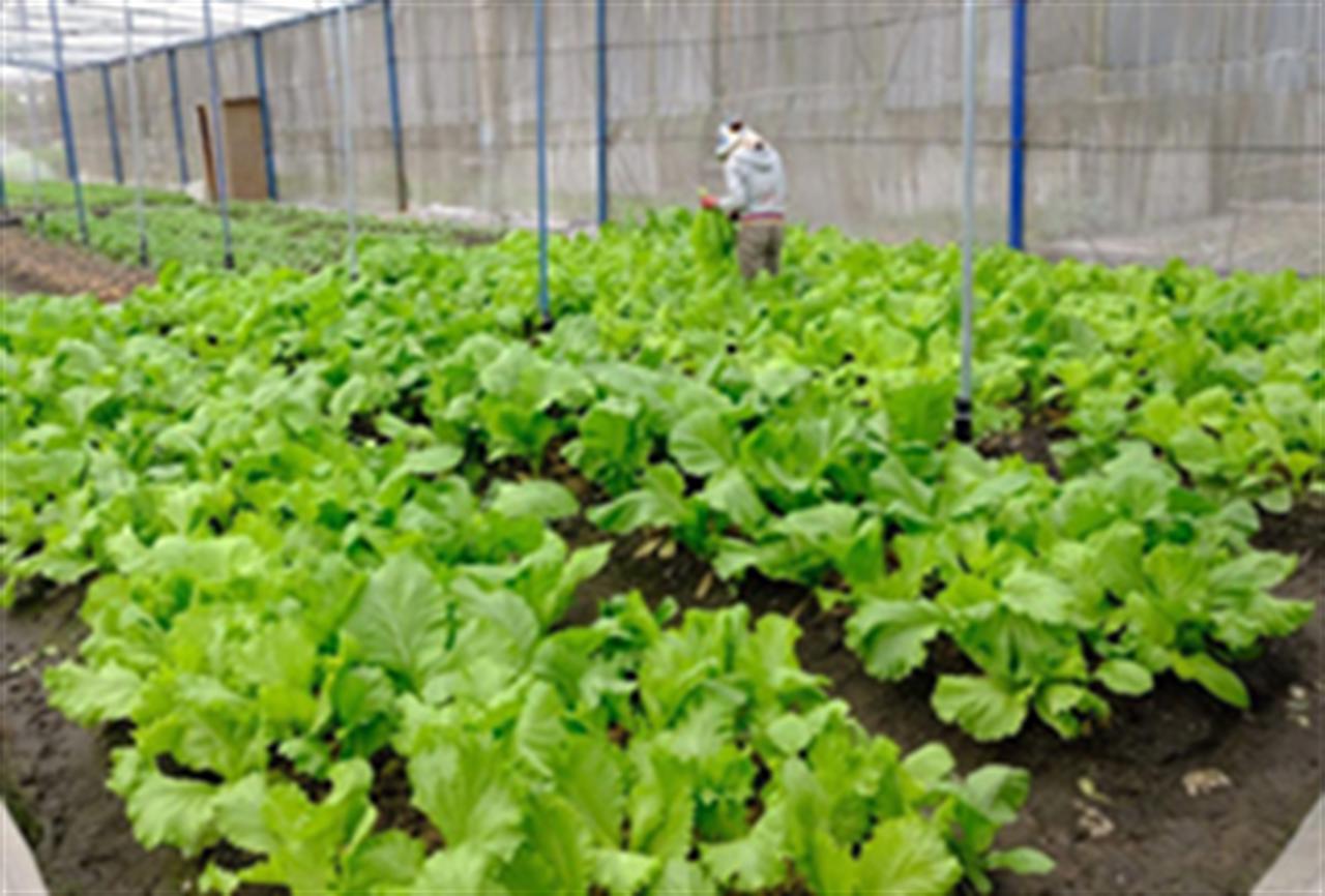 Xây dựng “nhà máy xanh” ở DAP Vinachem