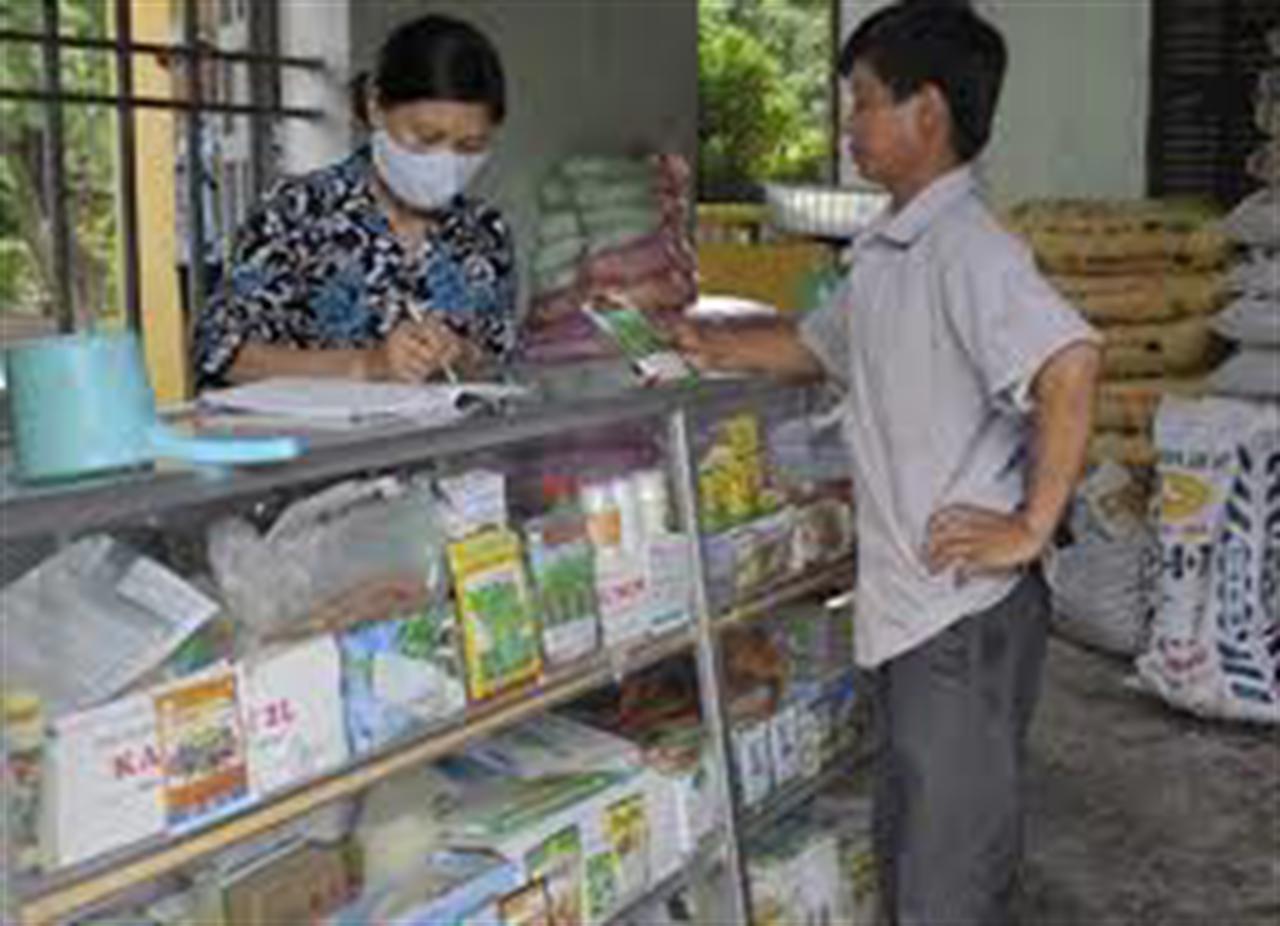 An Giang: Hàng loạt sai phạm kinh doanh thuốc BVTV