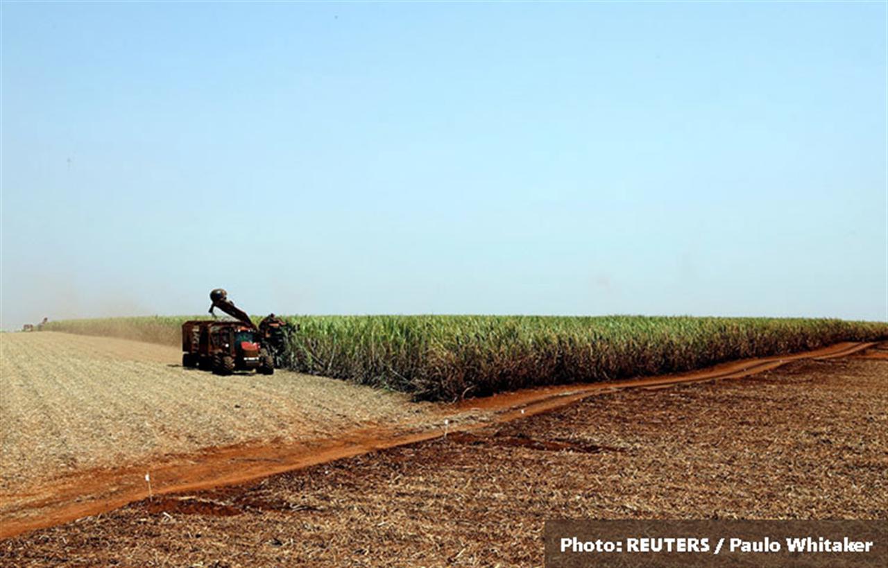 Brazil's Agrion aims to make 500,000 metric tons of fertilizer per year from waste sugarcane