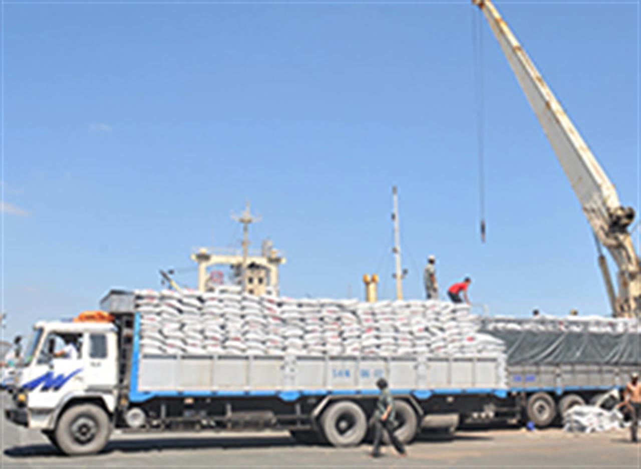 Phân bón nội thất thế