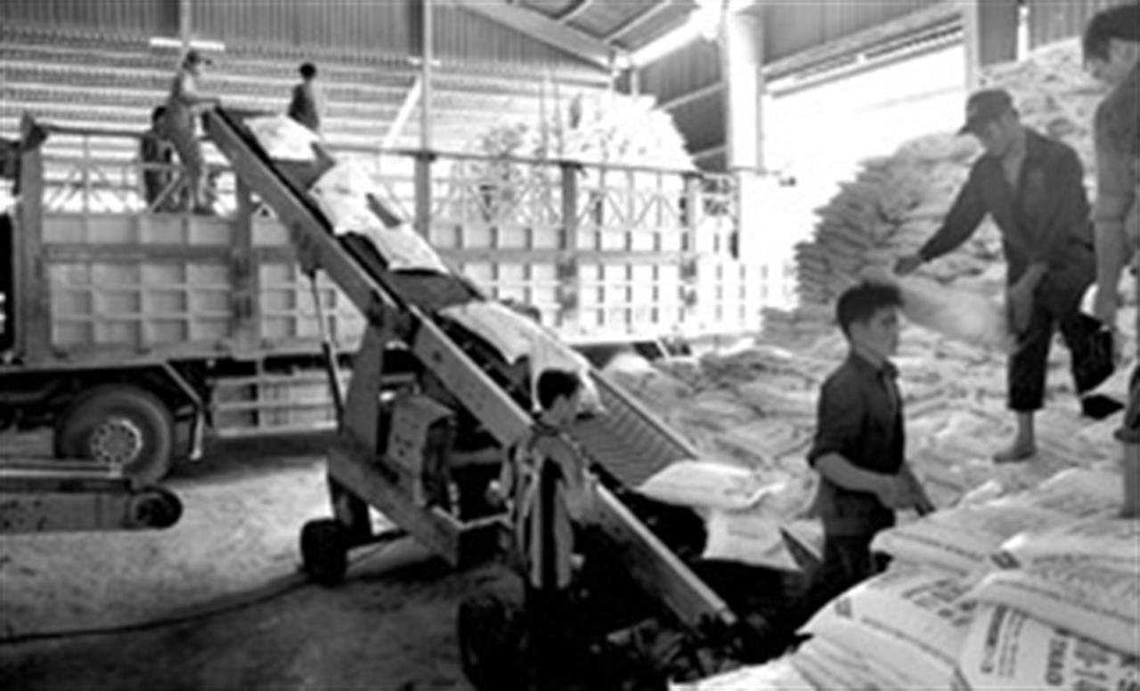 Vinachem battles fake fertilisersVinachem battles fake fertilisers