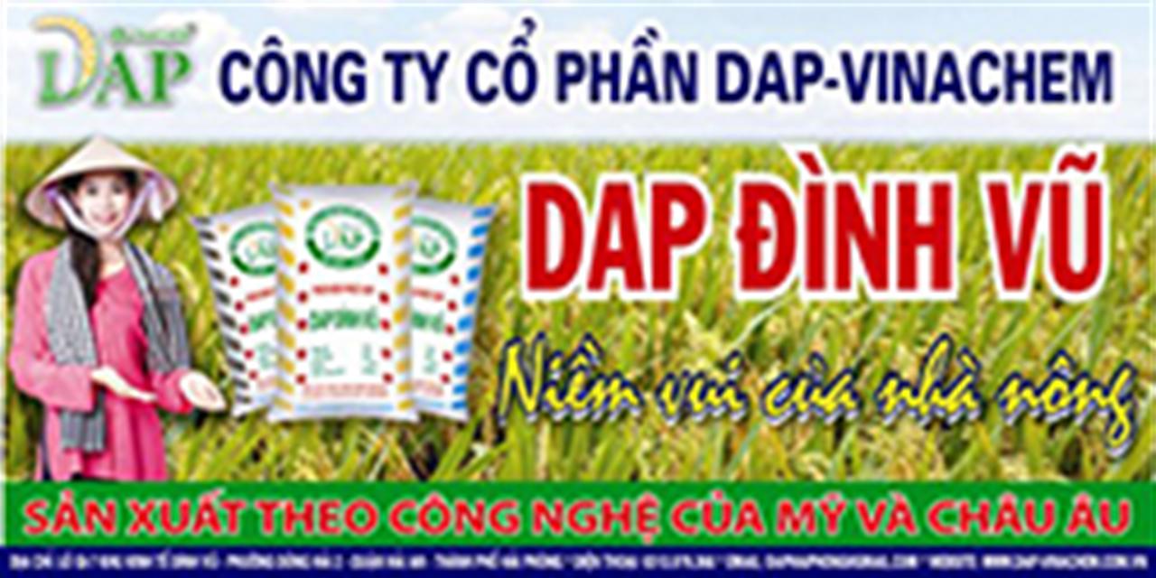 Phân bón phức hợp DAP Đình Vũ - Giải pháp tốt trong canh tác cây trồng ở nước ta