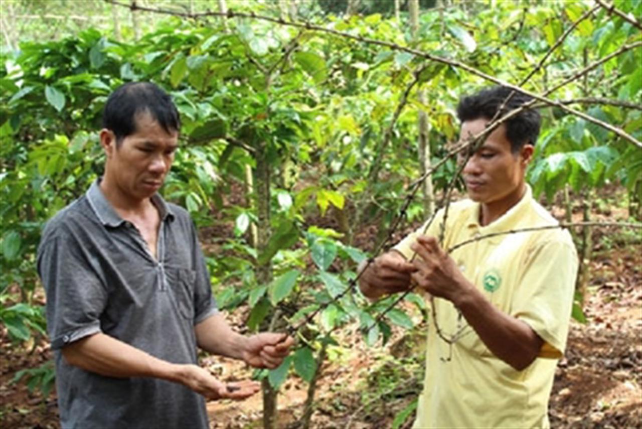 Phân bón giả tràn lan tại nhiều tỉnh Tây Nguyên