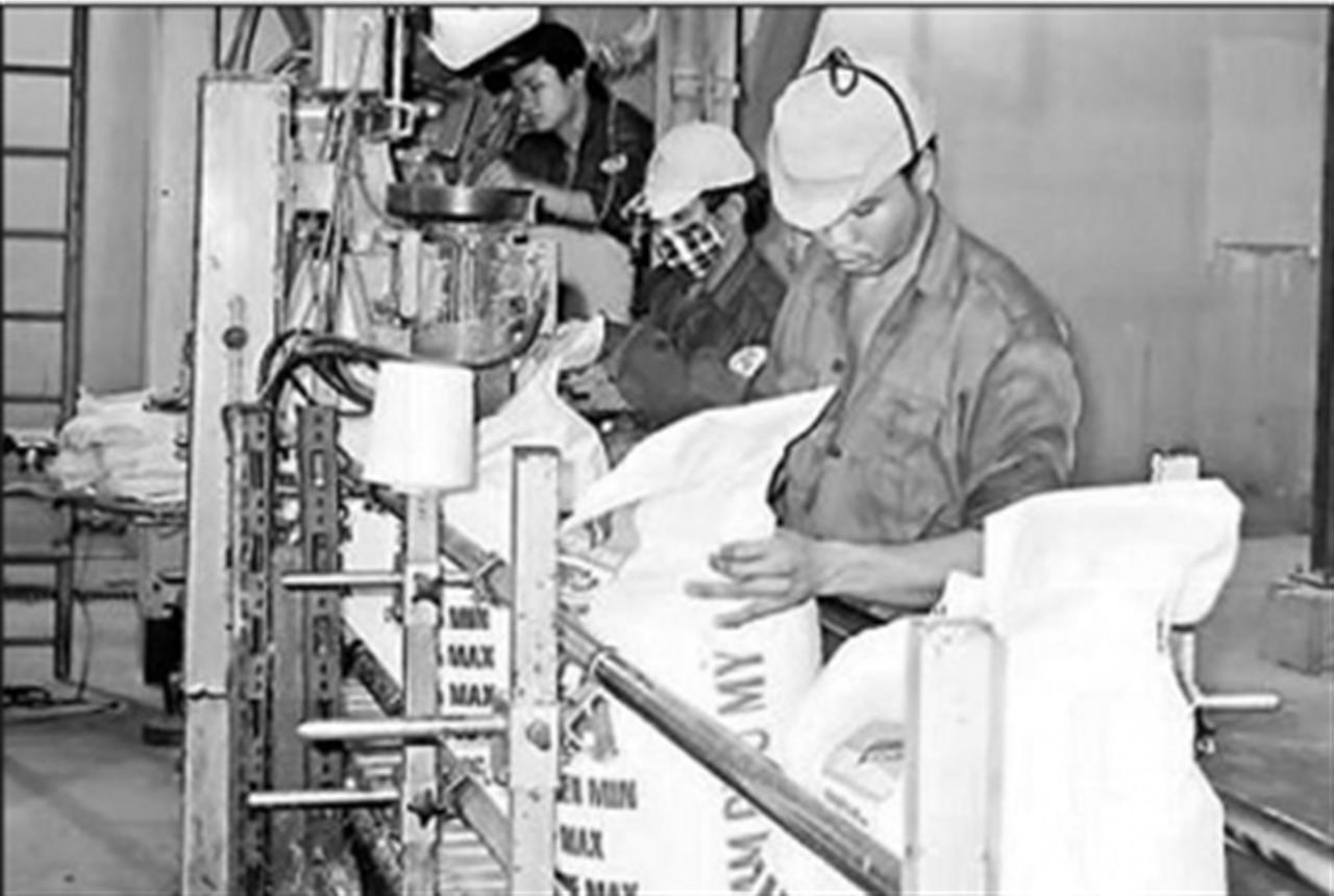 Giúp nông dân yên tâm sản xuất