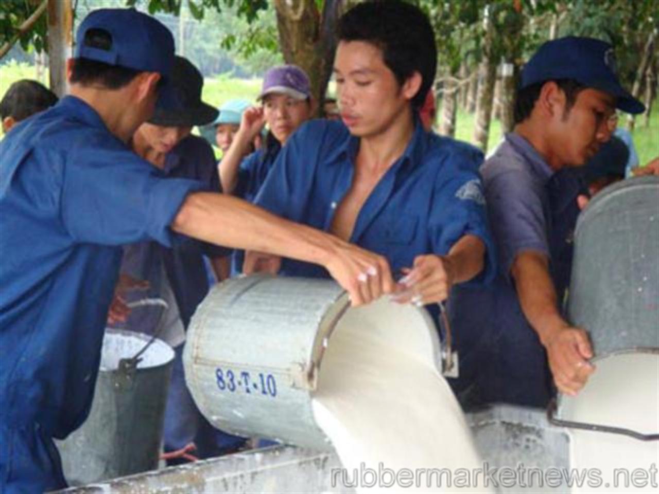 Rubber demand firm despite Japan quake