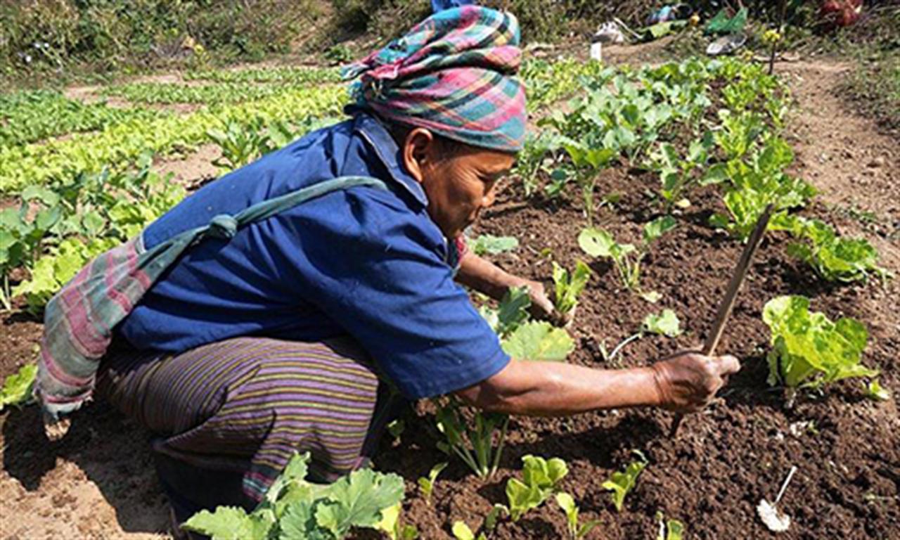 Lào mong muốn nhập khẩu thêm phân bón từ Việt Nam