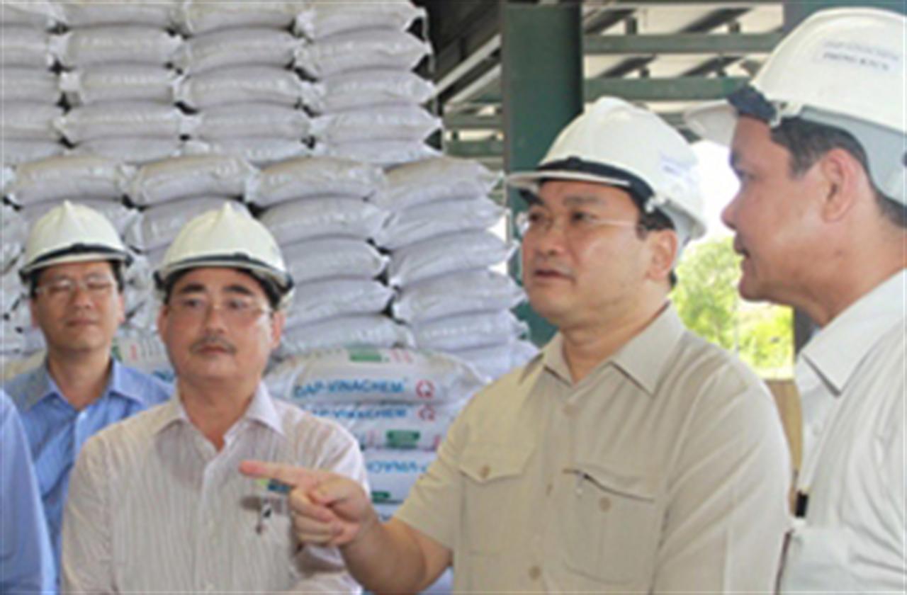 Chiếm lĩnh thị trường phân bón DAP nội địa