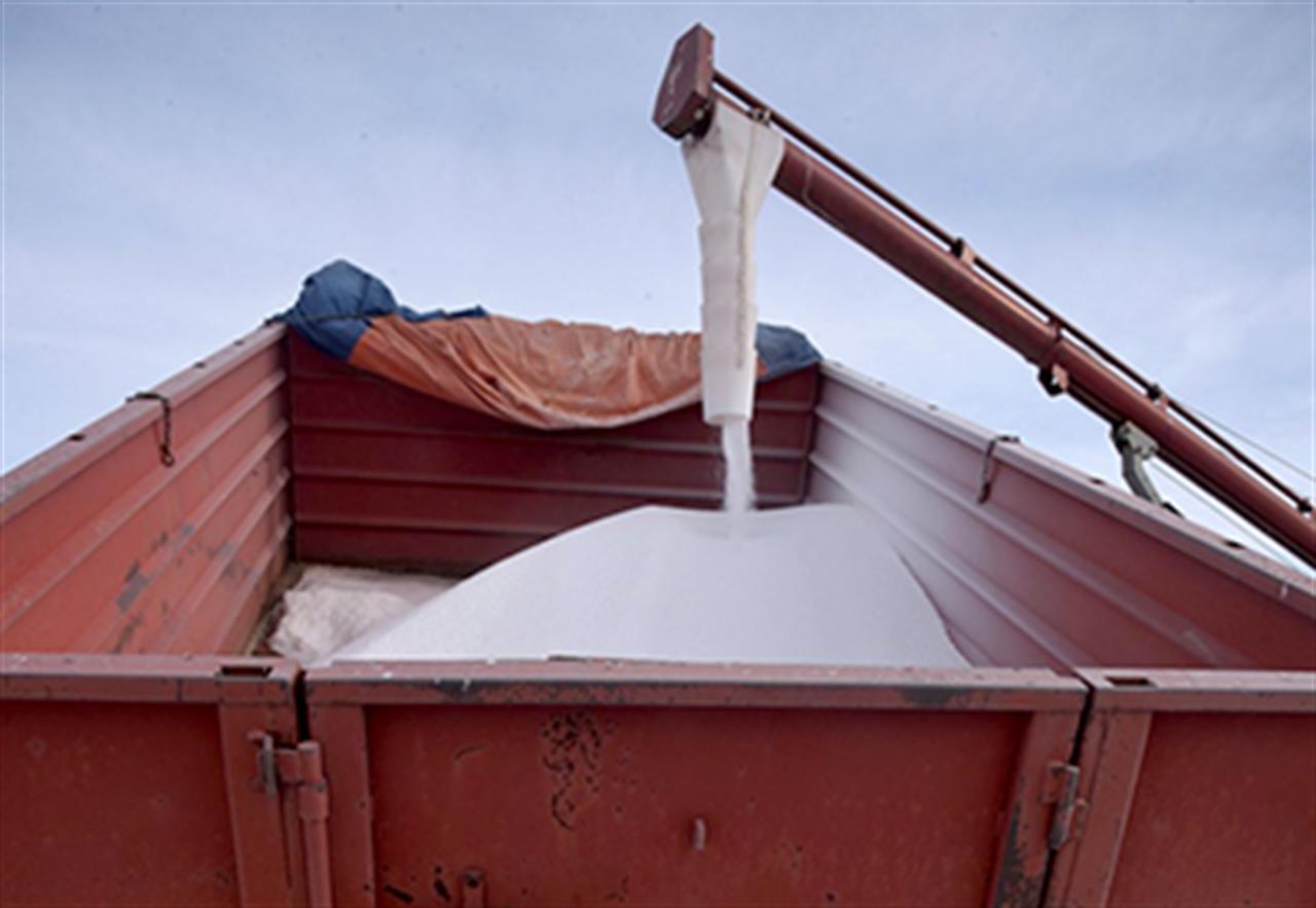 Thị trường phân bón thế giới tăng trưởng chóng mặt