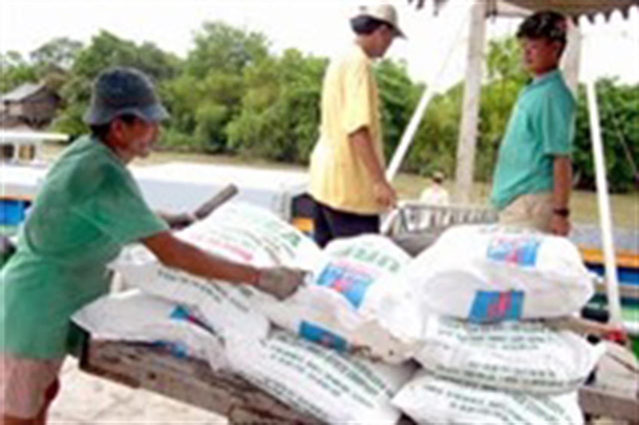 Giám đốc cơ sở sản xuất phân bón phải có trình độ đại học