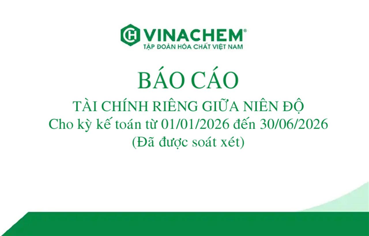 Báo cáo Tài chính riêng giữa niên độ cho kỳ kế toán từ ngày 01/01/2025 đến ngày 30/06/2025 (Đã được soát xét)