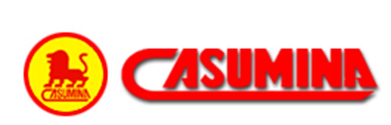 Casumina interest 70 billion VND in the  quarter II/2012 , more than 10 times compare with the same period last year