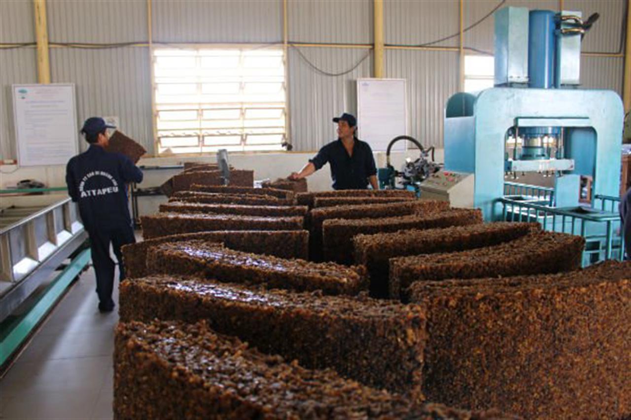 Cao su bất ngờ tăng giá