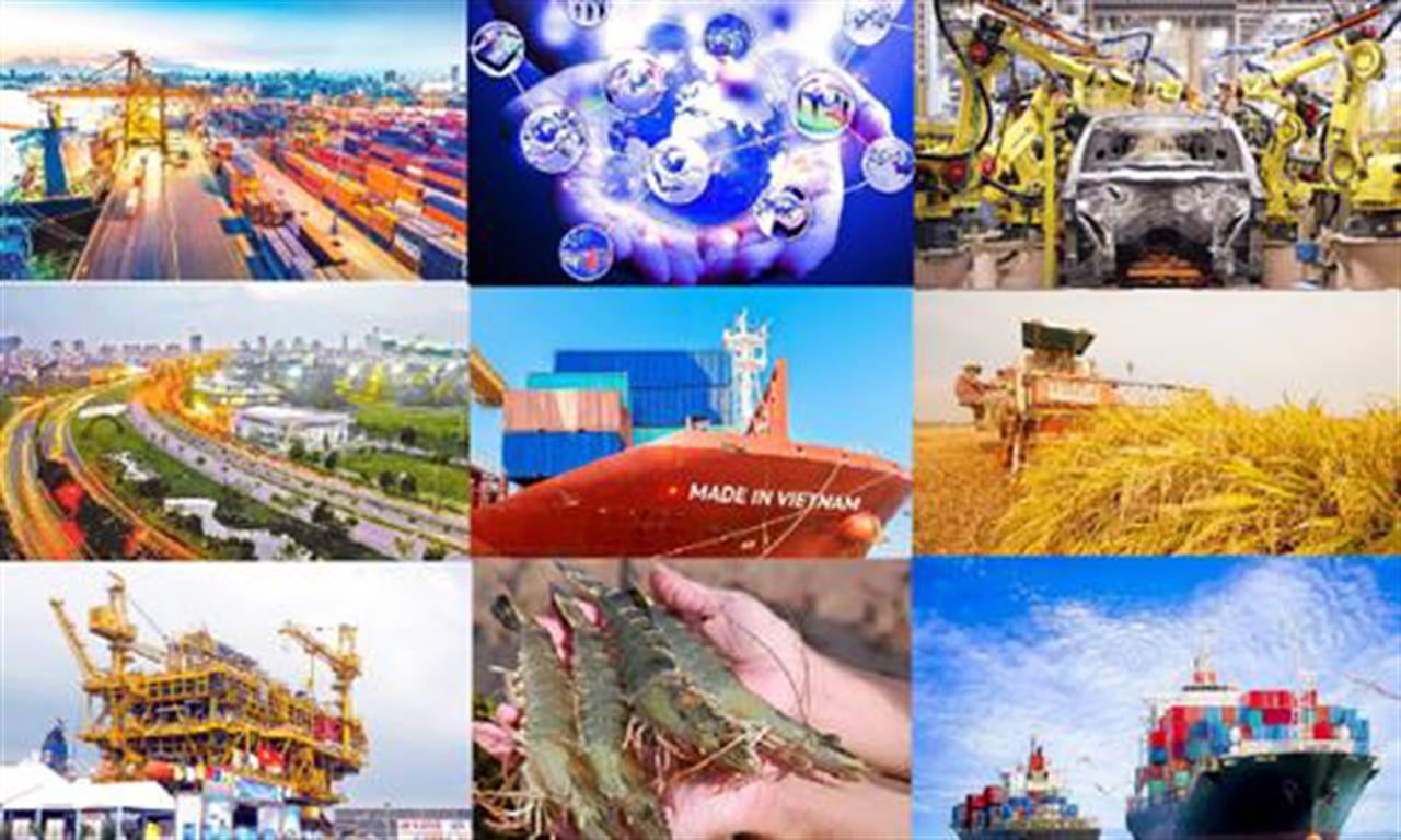 Viet Nam is on right path: WEF expert