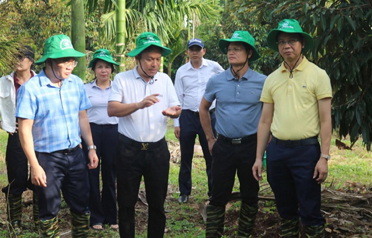 NIFERCO kết nối cùng nhà nông tại Lễ hội Sầu riêng Đắk Lắk 2026