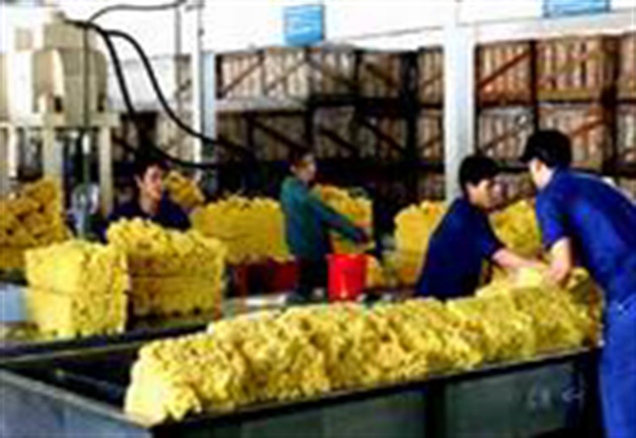 Sản lượng cao su thế giới vẫn tăng mặc dù đang ở mùa thấp điểm