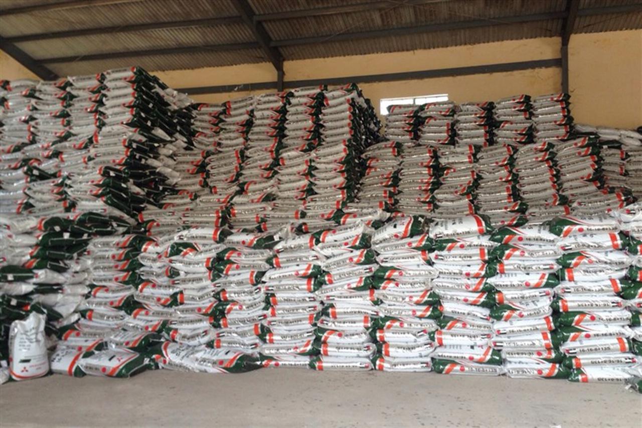 CÁC NHÀ MÁY SẢN XUẤT PHÂN BÓN DAP TRONG NƯỚC NGUY CẤP: Giải pháp nào để vực dậy?