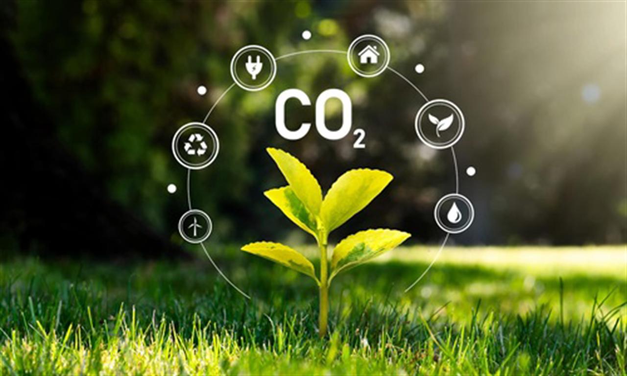 EU dreams of green hydrogen revolution need ‘reality check,’ auditors say