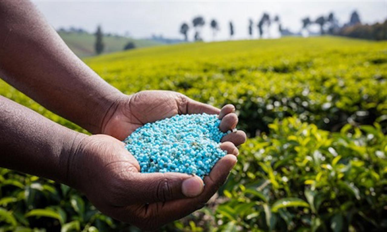 US CF Industries working with CHS on producing, distributing low-carbon nitrogen