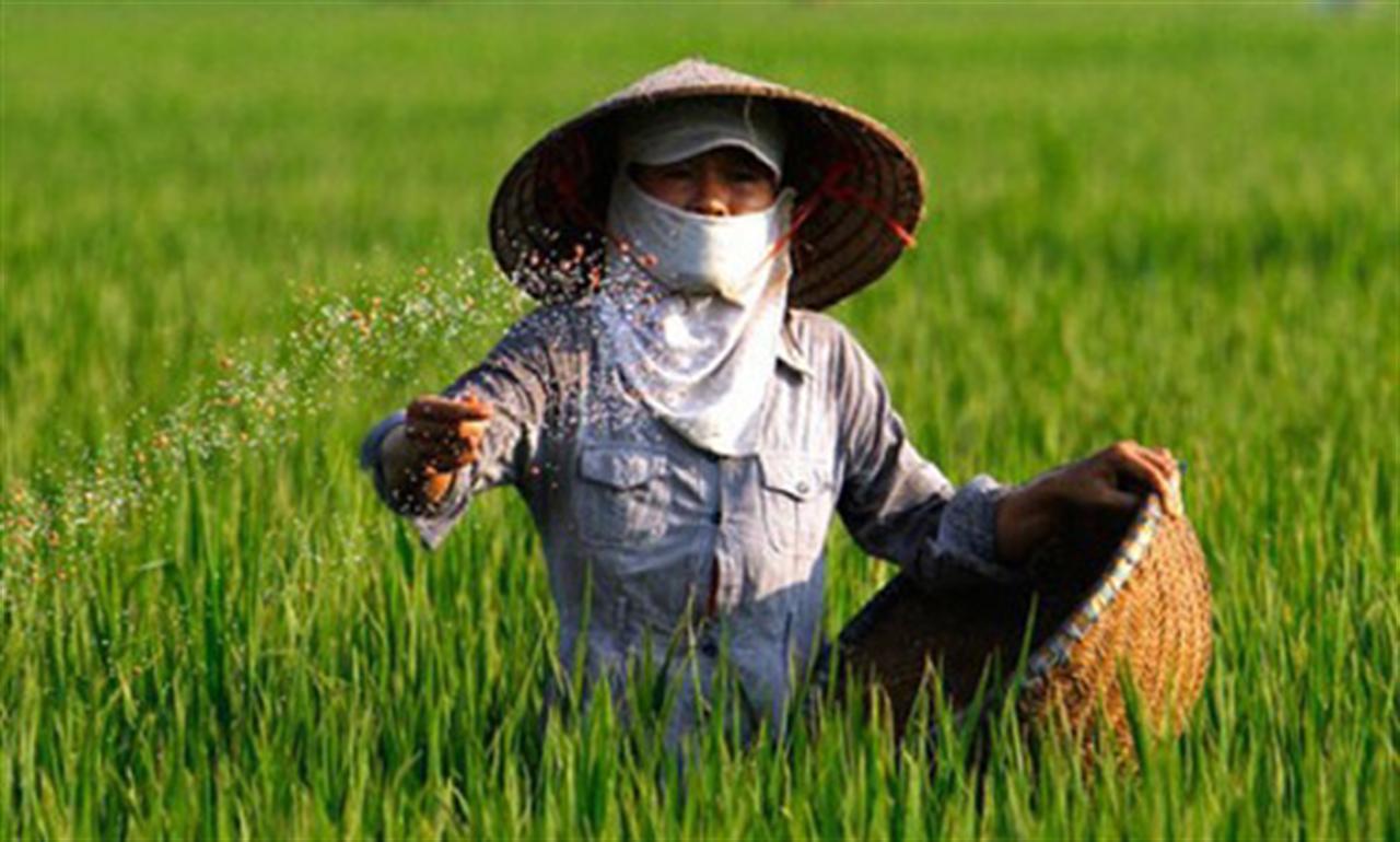 Global Urea Prices Surge on Middle East Conflict