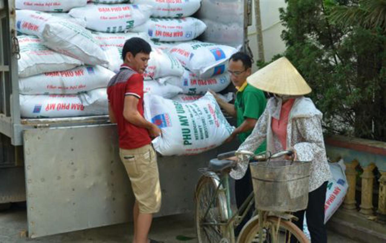 Năm 2015: Thị trường phân bón ổn định