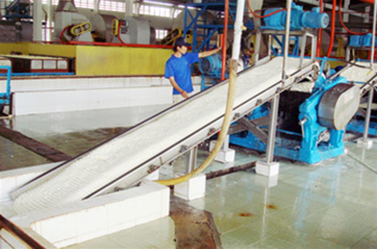 Giá cao su tiếp tục hạ