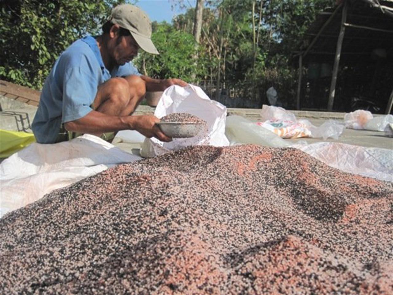 Doanh nghiệp phân bón kêu trời vì... được miễn thuế VAT