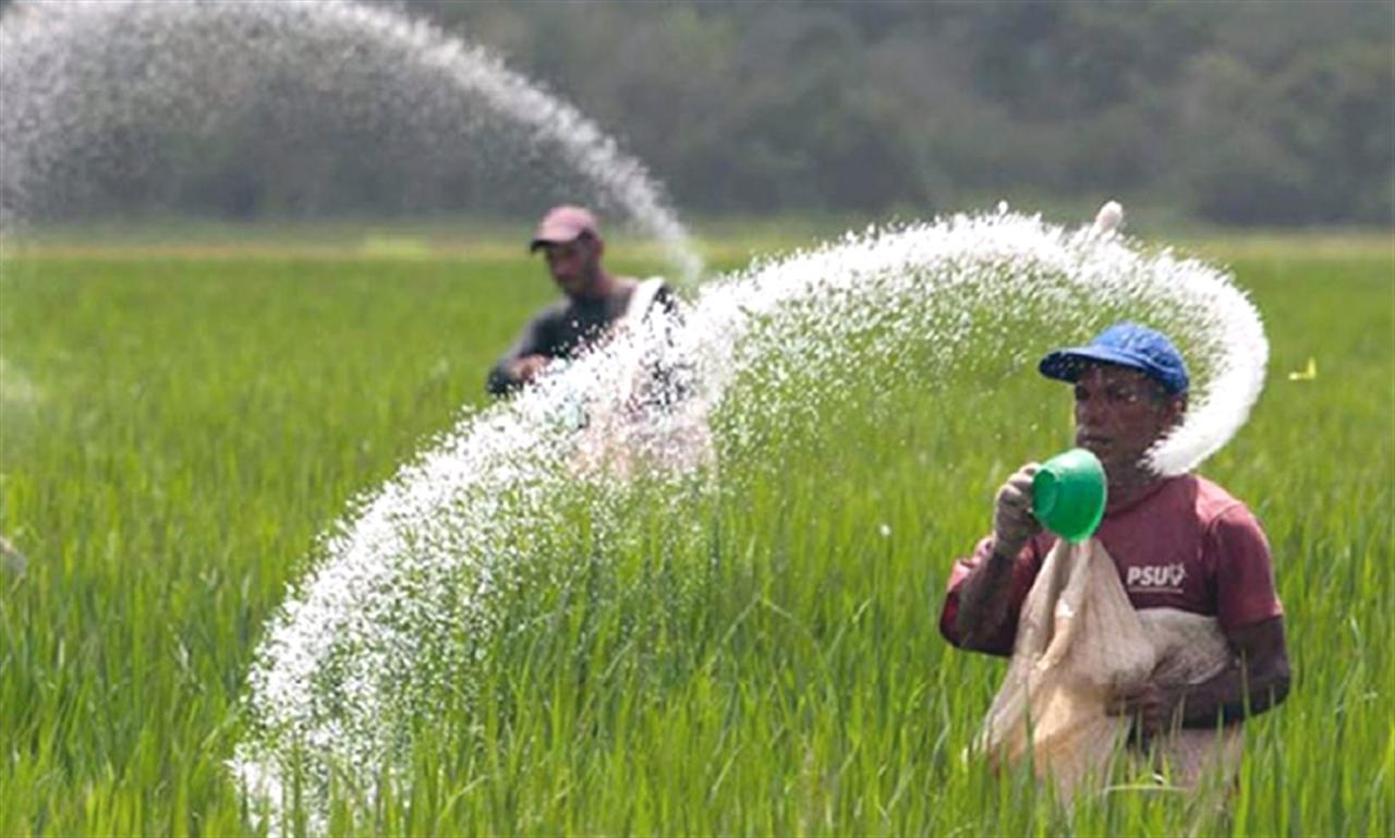 Giá phân bón liệu có ổn định?