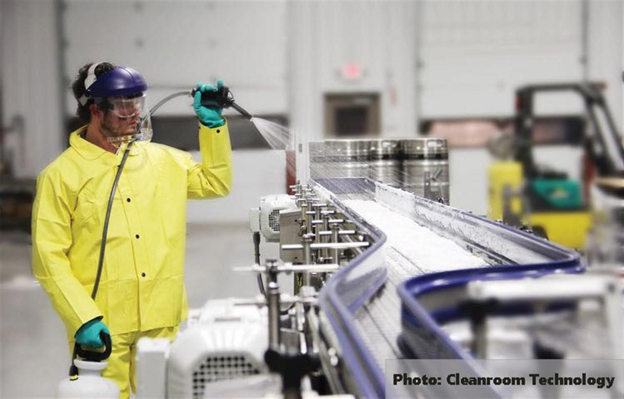 Green Cleaning-Disinfectant Product from Industrial Waste and Silver Nanoparticles: A Breakthrough in Cleaner Production