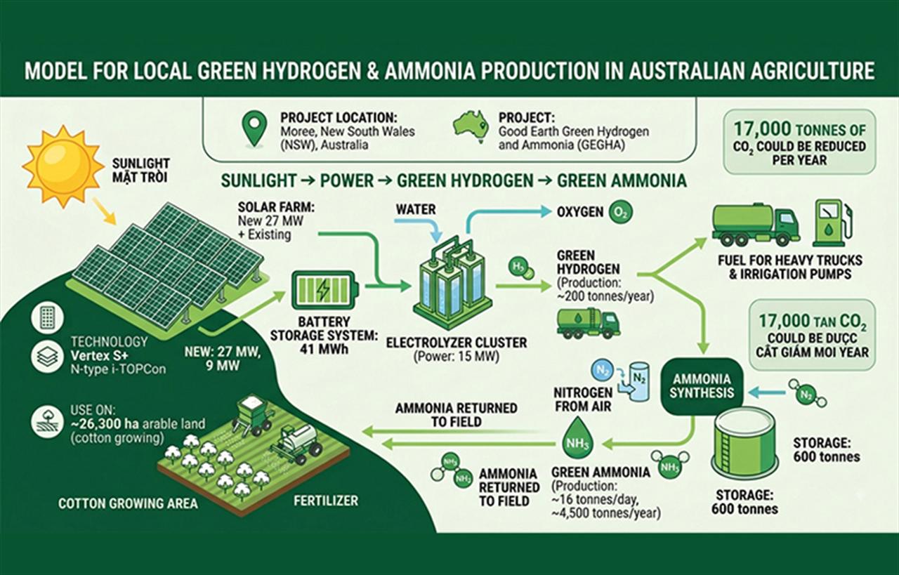 Australia Develops Integrated Model for Green Hydrogen and Ammonia Production in Agricultural Region