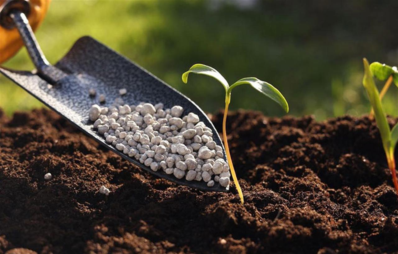 Công nghệ phân bón chính xác: Tổng quan quá trình phát triển và Ứng dụng